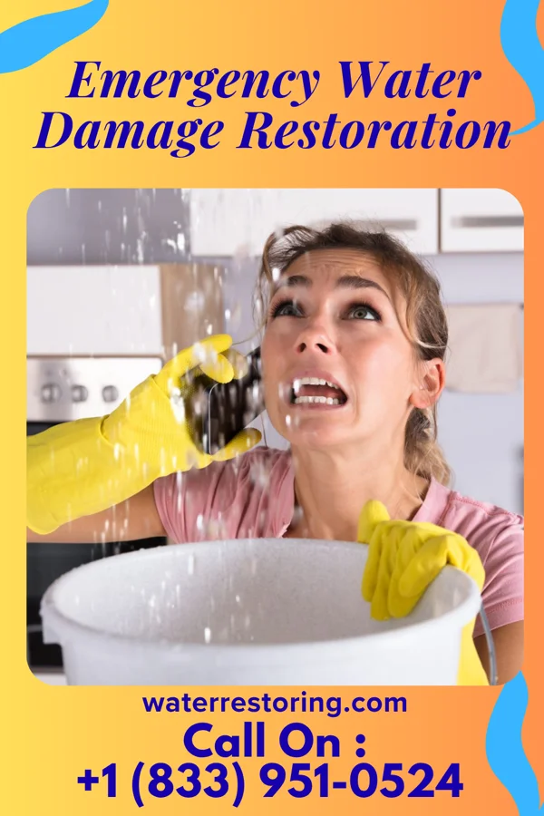 Emergency Water Damage Restoration in Lake Bryan, TX